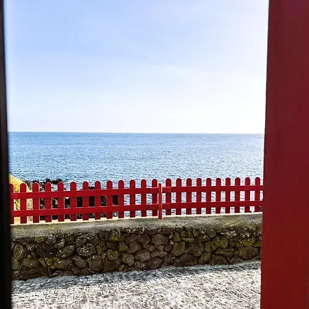 Baia Canas House - Kır Evi
